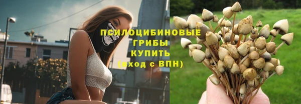кокс Белокуриха