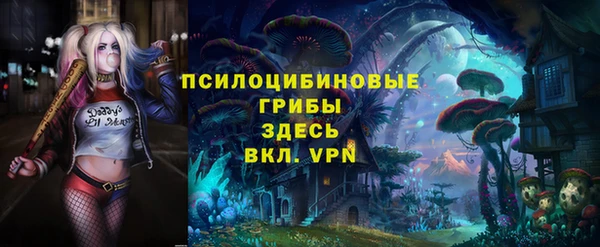 кокс Белокуриха
