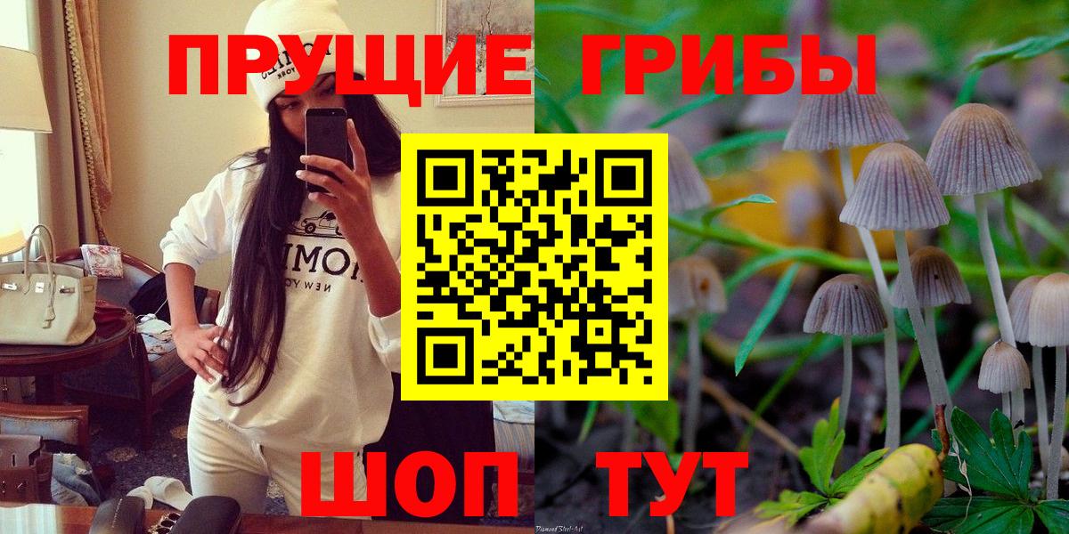Кстово  Псилоцибиновые грибы мицелий  Вход с VPN  Псилоцибиновые грибы мухоморы 