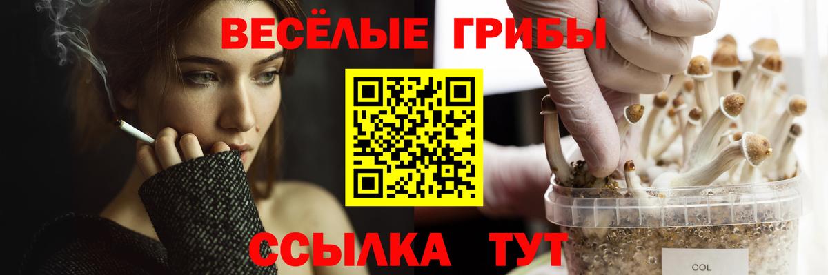 Галлюциногенные грибы прущие грибы Кстово